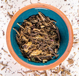 Echinacea Root Herbal Medicine Herpes Virus 1 and 2